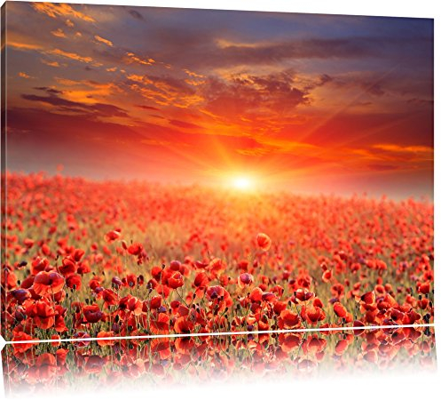 Pixxprint Mohnblütenfeld bei Sonnenuntergang, Größe: 60x40cm, Leinwandbild, fertig gespannt, Wandbild, Dekoration, Kunstdruck, kein Poster