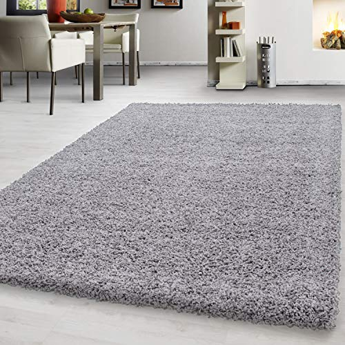 Teppium Moderner Hochflor Teppich Wohnzimmer 120 x 170 cm Hellgrau - Shaggy Flauschiger Teppich, Extra Weich, Pflegeleicht und Einfarbig - für Schlafzimmer, Küche und Esszimmer