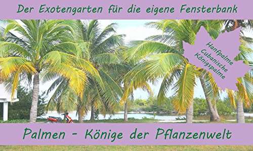 SAFLAX - Anzuchtset - Palmen - Könige der Pflanzenwelt - Mit 2 Samensorten, Gewächshaus, Anzuchtsubstrat, Zellfasertöpfen zum Umtopfen und Anleitung