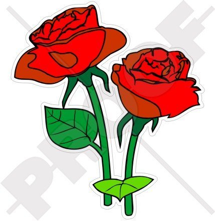 Vinyl-Stoßstangen-Aufkleber rote Rosen, Blumen, englische Rose, 100 mm