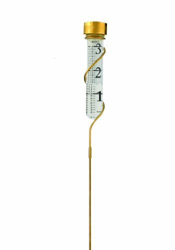 CONANT vrg6lfb Regen Gauge – Messing