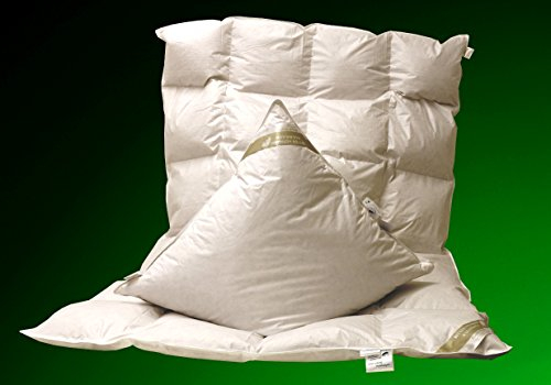 Betten Hofmann Set leichte Kassetten Daunendecke 4x6, 135x200 cm + Kissen 80x80 cm