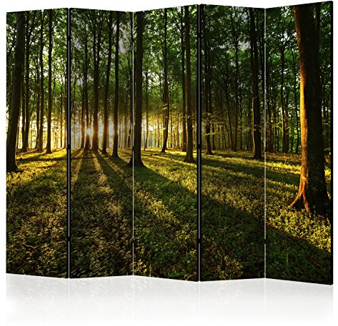 murando Raumteiler Wald Baum Natur Foto Paravent 225x172 cm beidseitig auf Vlies-Leinwand Bedruckt Trennwand Spanische Wand Sichtschutz Raumtrenner grün c-B-0027-z-c