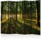 murando Raumteiler Wald Baum Natur Foto Paravent 225x172 cm beidseitig auf Vlies-Leinwand Bedruckt Trennwand Spanische Wand Sichtschutz Raumtrenner grün c-B-0027-z-c