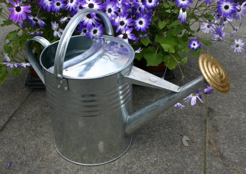 Traditional Watering Can Galvanised and Brass 2 Gallon