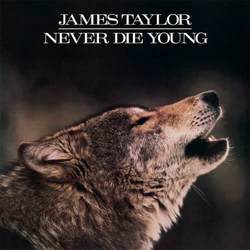 Never Die Young (180 Gram Audiophile Vinyl/Anniversary Limited Edition)