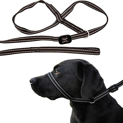 Gencon - All-in-One Anti Pull Dog Lead and Headcollar - Trainer Approved - Figure of 8 Dog Lead with Soft Loop Handle, Gentle Control - Right Hand - Washable - UK Made - Black/Silver
