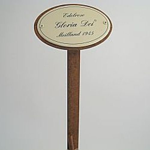 Rosenschild - Edelrose Gloria Dei