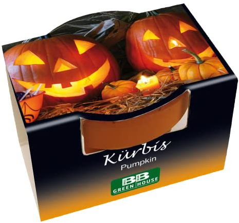 Bull & Bear Mini Pflanzset Kürbis, Kürbissamen im Topf 4,5cm, Kürbis Anzuchtset mit Pflegeanleitung