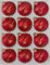 12 TLG. Glas-Weihnachtskugeln Set in Ice Rot Gold Komet - Christbaumkugeln - Weihnachtsschmuck-Christbaumschmuck