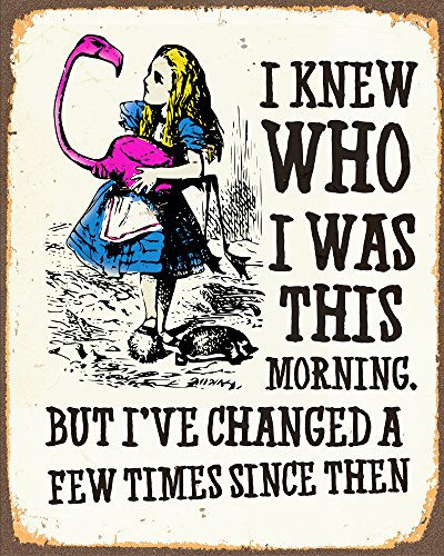 Alice In Wonderland I've Changed METAL Wall Sign 6x8inches Plaque Vintage Retro poster art picture print by Chill
