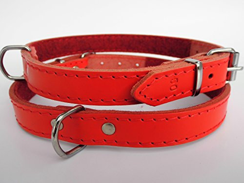 Hunde Halsband - Echt Leder - ROT, Halsumfang 35-43cm; 40-48cm (40-48cm/20mm/55cm)