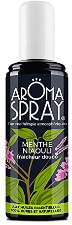 AROMASPRAY® - Spray d'Ambiance - Aromathérapie - Menthe Niaouli - Fraîcheur douce - Huiles Essentielles 100% pures et naturelles - 100 ml