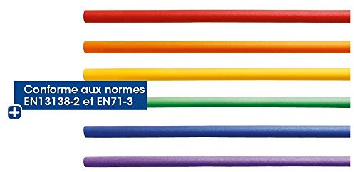 Lot de 6 Frites de Natation