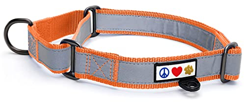 PAWTITAS Martingale Hundehalsband Welpenhalsband Reflektierendes Hundehalsband Trainingshalsband für Hunde Erziehungshalsband für Hunde Mittel Hundehalsband Orange Hundehalsband