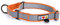 Pawtitas Martingale Hundehalsband Welpenhalsband Reflektierendes Hundehalsband Trainingshalsband für Hunde Erziehungshalsband für Hunde Mittel Hundehalsband Orange Hundehalsband