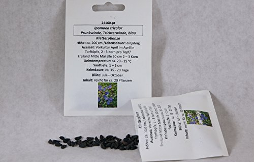 Prunkwinde Trichtewinde blau schnellwachsende Kletterpflanze fur ca 20 Pfl. Blumensamen Blumensaat