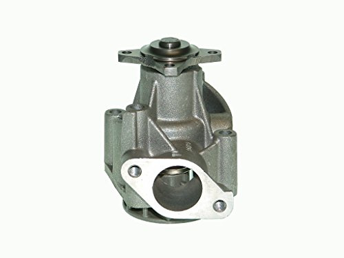 Saleri SIL PA743 Wasserpumpe