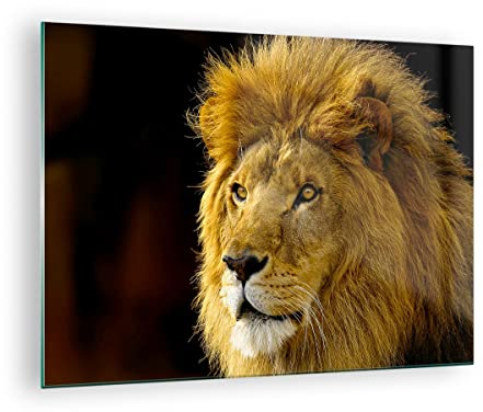 Moderne Impression sur Verre Lion animaux faune Image Tableau en Verre Decoration Murale 70x50cm Deco Cadre Salon Chambre Cuisine Horizontal Petit Tableaux Decoratifs Muraux Art Wall GAA70x50-1237