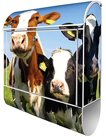 banjado® Design Briefkasten mit Kühe 38,5x46,5x13cm & 2 Schlüssel - Briefkasten Stahl weiß mit Zeitungsfach pulverbeschichtet - Postkasten A4 Einwurf inkl. Montagematerial