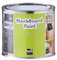 MagPaint Blackboard Paint - Lime Chalkboard Paint - Premium Water-Based - For Workplaces, Kitchens, Classrooms and Kids’ Bedrooms - 5m² Coverage, 0.5L
