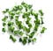 Best Artificial 200cm / 7ft Ivy Garland Hanging Vine String Plant (Dark English - IL02)