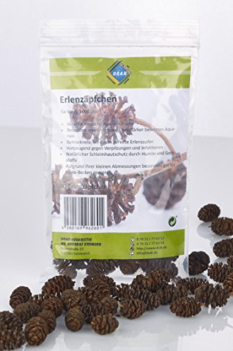 Erlenzapfen DRAK (40 Stück)