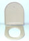 Roca A801360194 - Asiento Pintado Meridian Visón Complementos Del Baño - Asiento/Tapa - Asientos Lacados Para Inodoro