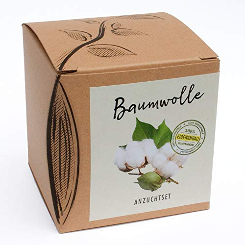 NATUR KRAFTWERK Geschenk-Anzuchtset Baumwolle, mit Samen der Topfbaumwolle, tolle Geschenk-Idee aus dem naturkraftwerk