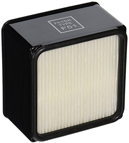 Dirt Devil 304008002 Filtro, Escape F51 UD70010 HEPA Plisado alérgeno, Blanco
