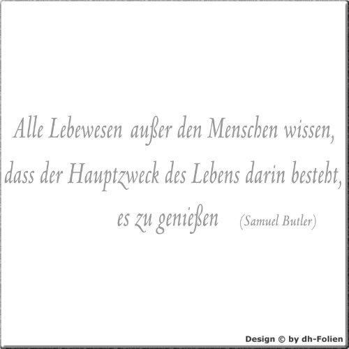 wall-refine WS-02155 | ALLE Lebewesen AUßER DEN Menschen | Premium Wandtattoo Wandaufkleber der Extra-Klasse, 150 x 53 cm, Silber, seidenmatter Glanz