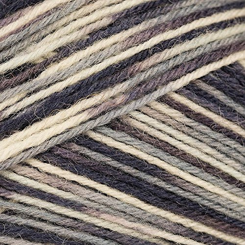Schoeller und Stahl Fortissima Color - Grey (2407)