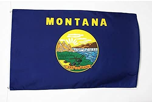 AZ FLAG - Flagge Montana - 90x60 cm - Bundesstaat Montana Fahne 100% Polyester mit Messing-Ösen - 50g