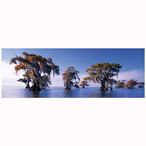 Heye 29607 Alexander von Humboldt, Bald Cypresses, 1000 Teile Panorama Puzzle, Blue, HY29607
