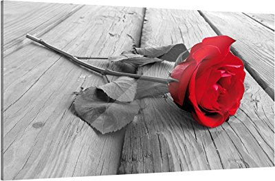 Klebefieber Glasbild Rote Rose B x H: 60cm x 40cm