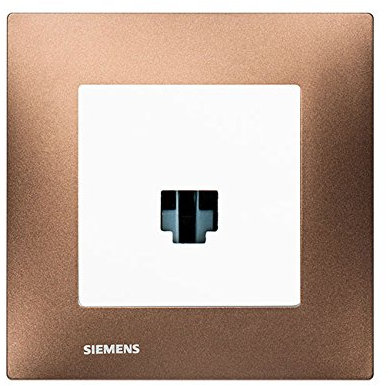 Prise RJ45 Blanc Delta Viva + Plaque Métal Marron