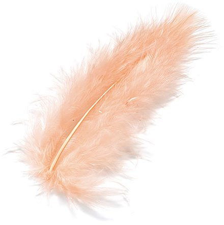 KnorrPrandell 6619207 Marabufedern, 10 cm, apricot
