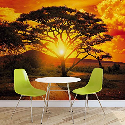 Forwall Vlies Fototapete Tapete Vliestapete Afrika Sonnenuntergang AF400VEXL (208cm x 146cm) Photo Wallpaper Mural