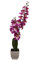 McPalms Orchidee 55 cm hoch mit Topf Lila Kunstpflanze künstlich