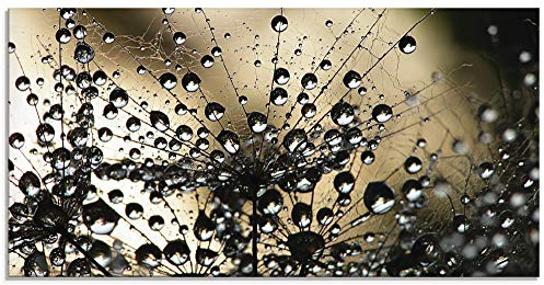 ARTland Wanddeko Glasbilder Wandbild Glas Bild einteilig 60x30 cm Querformat Natur Botanik Blumen Pusteblume Frühling Wassertropfen Modern S5YR