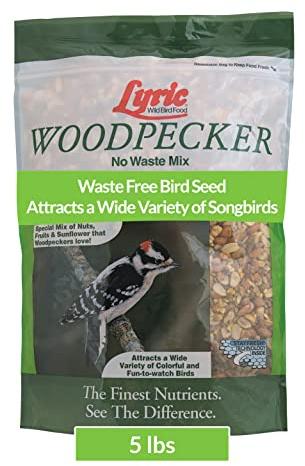 Lyric Woodpecker Wild Bird Seed for Outside Feeders, Shelled, No Waste Bird Seed with Nuts & Dried Fruit, 5 lb Bag