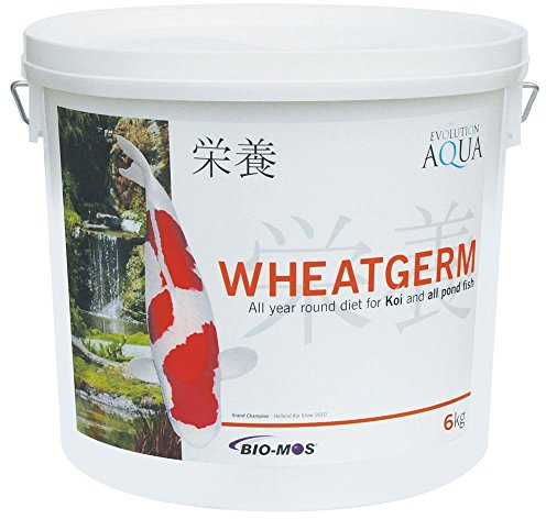 Evolution Aqua Wheatgerm - 6 Kgs - Small Pellet - 3-4Mm