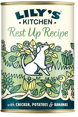 Lily's Kitchen Mit natürlichen Zutaten hergestellt Für ausgewachsene Hunde Nassfutter-Dose Ruhepause Rezeptur (6 x 400g)