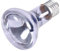 Trixie 76005 Neodymium Wärme-Spotlampe, ø 63 × 100 mm, 35 W