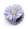 Meilliwish Flor Tejidos Clip de la garra del pelo (D05) (azul claro) (D05)