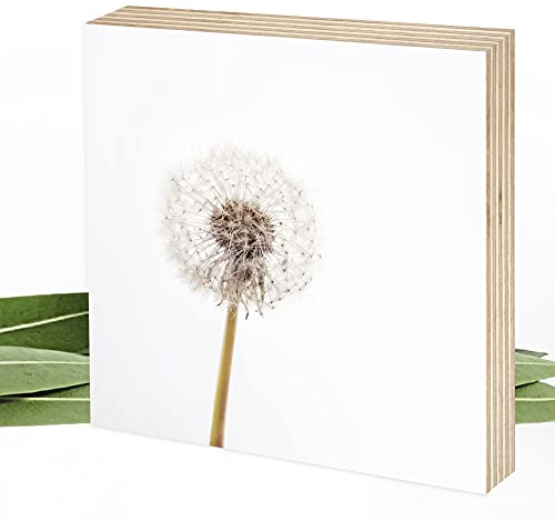 Wunderpixel® Holzbild Fotografie Pusteblume - beige-weiß - 15x15x2cm zum Hinstellen/Aufhängen, echter Fotodruck auf Holz - Wand-Bild Aufsteller zur Dekoration/Geschenk-Idee