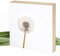 Wunderpixel® Holzbild Fotografie Pusteblume - beige-weiß - 15x15x2cm zum Hinstellen/Aufhängen, echter Fotodruck auf Holz - Wand-Bild Aufsteller zur Dekoration/Geschenk-Idee
