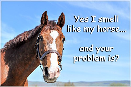 Horse Pony Funny Fridge Magnet - Yes I smell like my horse