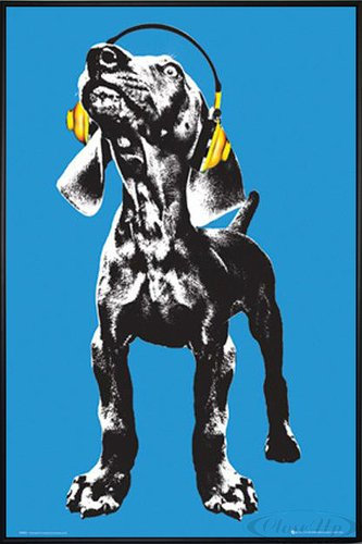 Close Up Keith Kimberlin Poster Dog Headphones (93x62 cm) gerahmt in: Rahmen schwarz
