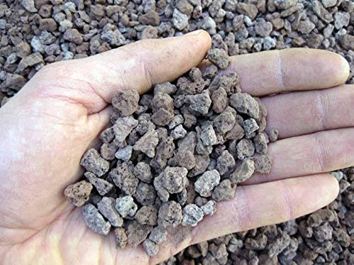 GEOSISM & NATURE - Lapillo vulcanico rosso, 100% naturale, per giardinaggio, drenaggio, pacciamatura, vasi e terrari (5/10 mm, Singolo - 11 lt)